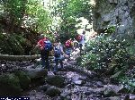 dscf3885.jpg