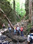dscf3933.jpg