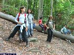 dscf3954.jpg