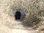 dscf9207.jpg