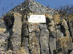 dscf9229.jpg