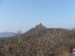 dscf9270.jpg