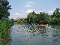 dsc02871.jpg