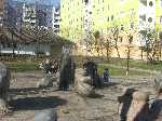 dscf2355.jpg