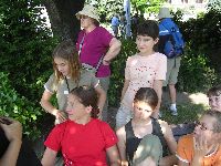 festett_ivett_021.jpg