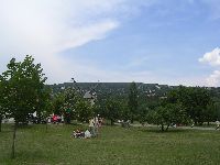 festett_ivett_054.jpg