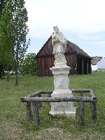 festett_ivett_056.jpg