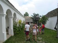 festett_ivett_060.jpg