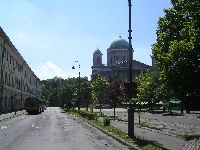 festett_ivett_172.jpg