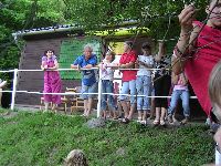festett_ivett_218.jpg