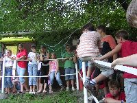 festett_ivett_223.jpg