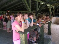 festett_ivett_240.jpg