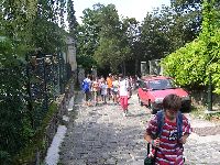 festett_ivett_254.jpg