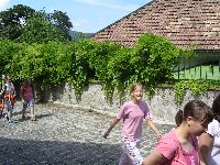 festett_ivett_258.jpg