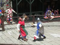 festett_ivett_261.jpg