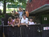 festett_ivett_311.jpg