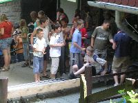 festett_ivett_321.jpg