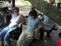 festett_ivett_330.jpg