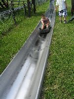 festett_ivett_334.jpg
