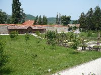 p1020401.jpg