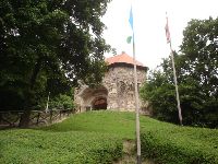 dsc08478.jpg