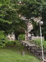 dsc08481.jpg