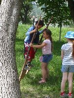 dsc08587.jpg