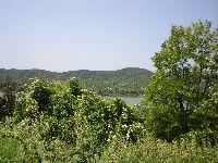 dsc08621.jpg