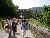 dsc08623.jpg