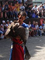 dsc08681.jpg