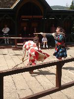 dsc08687.jpg
