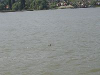 dsc08720.jpg