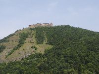 dsc08727.jpg