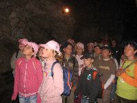 erdei_iskola_067.jpg