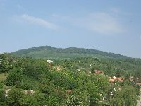 erdei_iskola_145.jpg